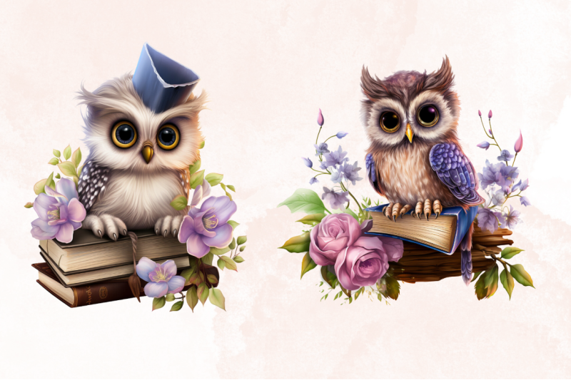 fairy-owl-on-book-sublimation-clipart