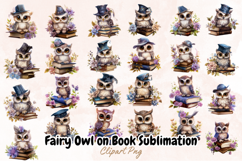 fairy-owl-on-book-sublimation-clipart