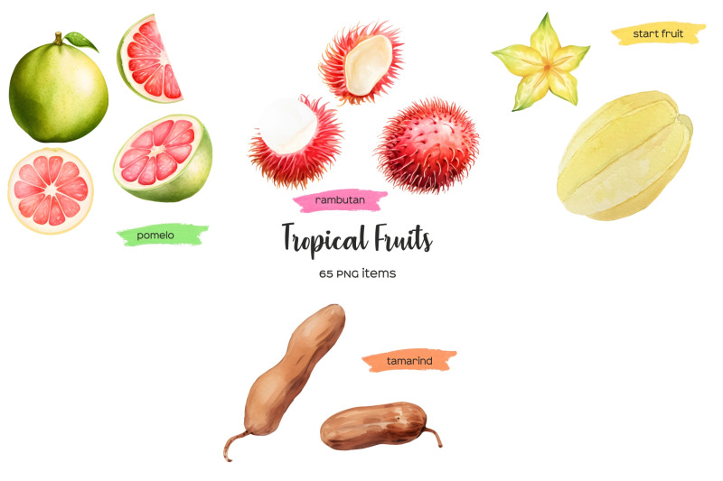 watercolor-tropical-fruit-clipart-exotic-fruits-clipart-64-png
