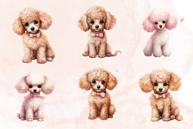 cute-poodle-sublimation-clipart-bundle