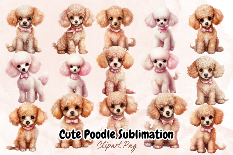 cute-poodle-sublimation-clipart-bundle