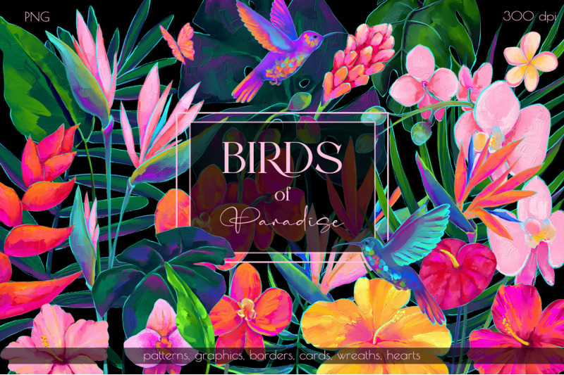 birds-of-paradise-graphics-patterns