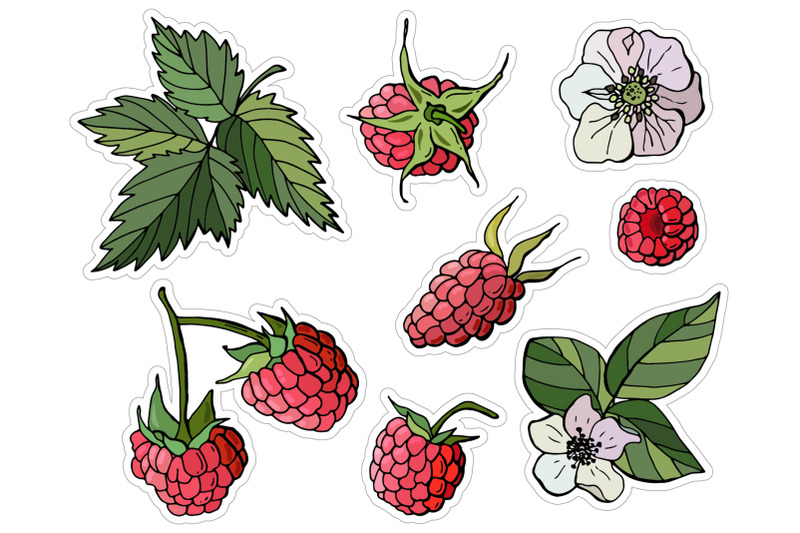 raspberries-printable-stickers-cricut-design