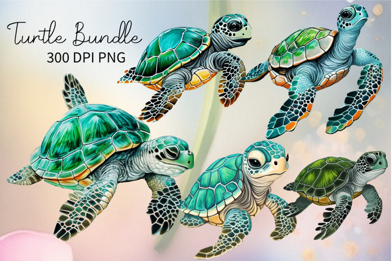 watercolor-turtle-png-clipart-turtle-png-clipart-sublimation-bundle