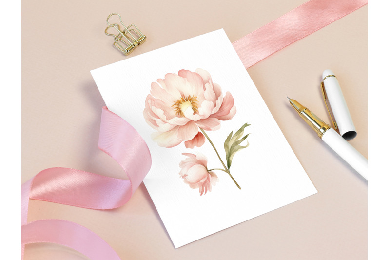 watercolor-dusty-pink-floral-peonies-clipart-set