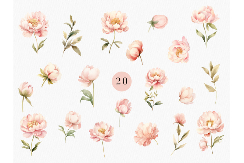 watercolor-dusty-pink-floral-peonies-clipart-set