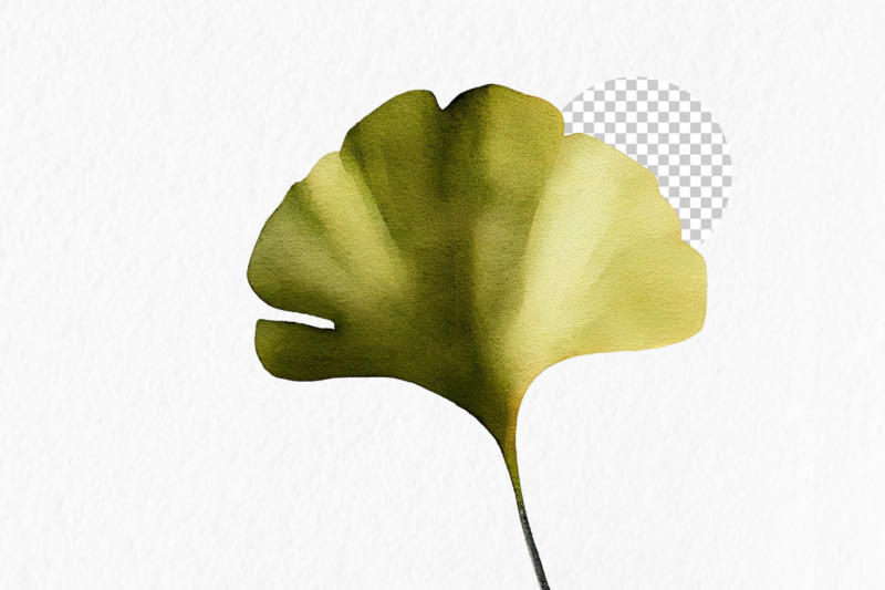 ginkgo-leaves-watercolor-clipart-png