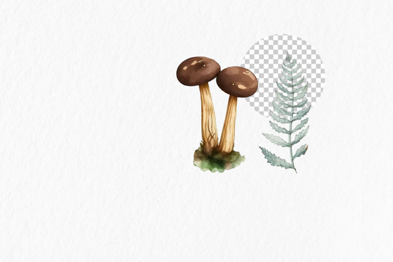 mushrooms-watercolor-clipart-png