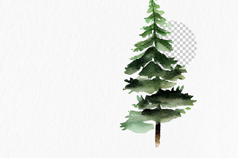 forest-watercolor-clipart-png