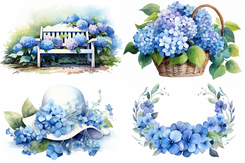 blue-hydrangea