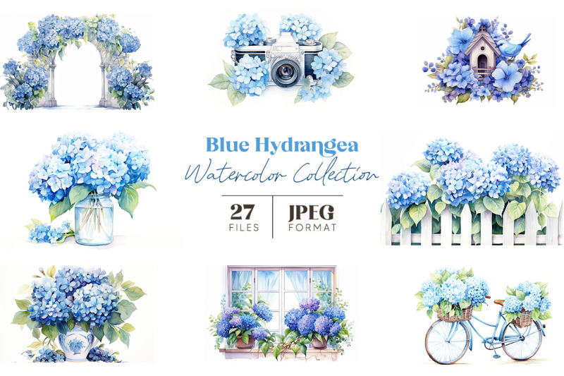 blue-hydrangea