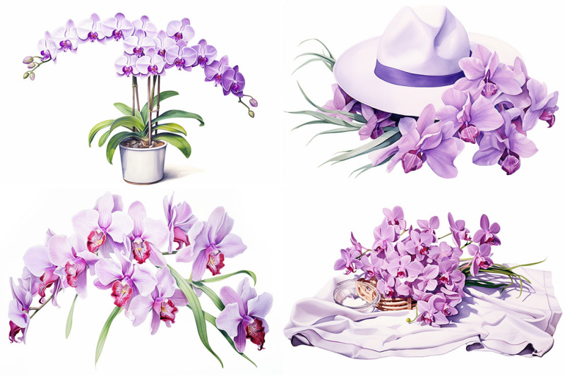 orchid-floral