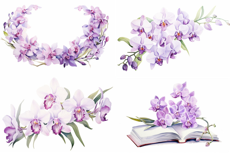 orchid-floral