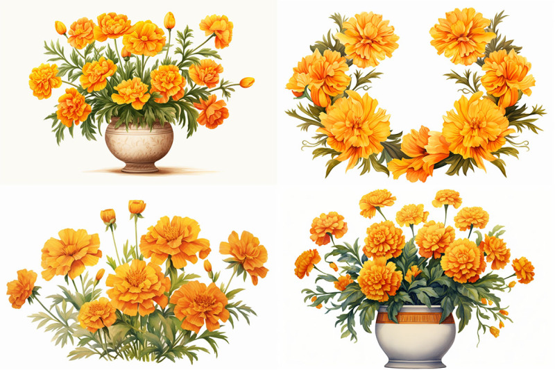 marigold-floral