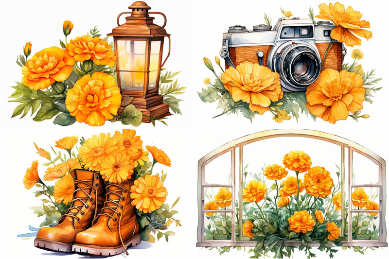 marigold-floral