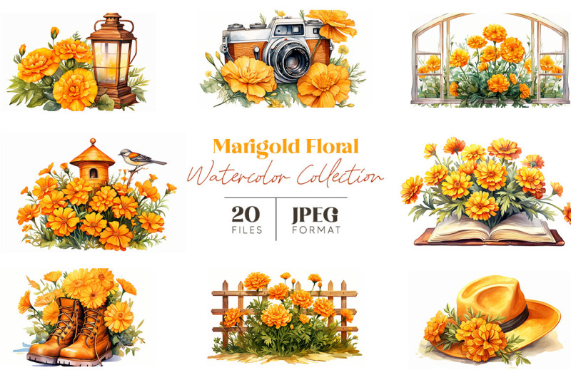 marigold-floral