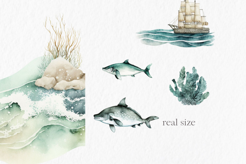 cute-ocean-watercolor-clipart-png