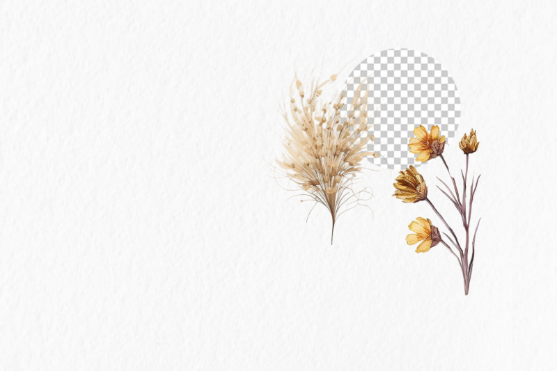 dry-flowers-watercolor-clipart-png