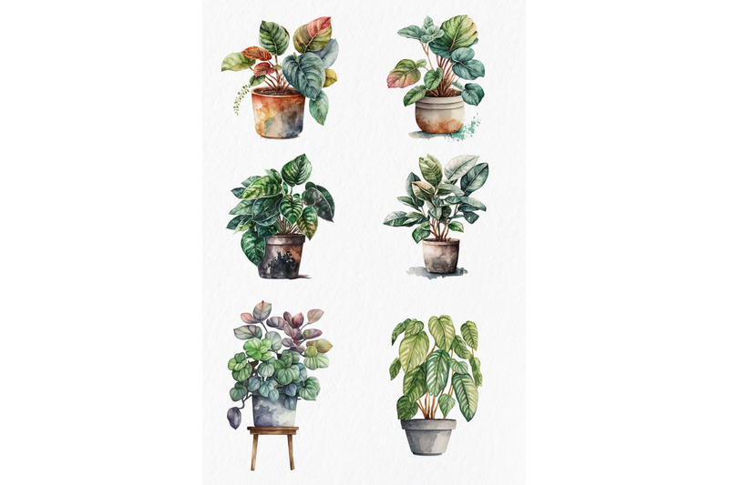 house-plants-watercolor-clipart-png