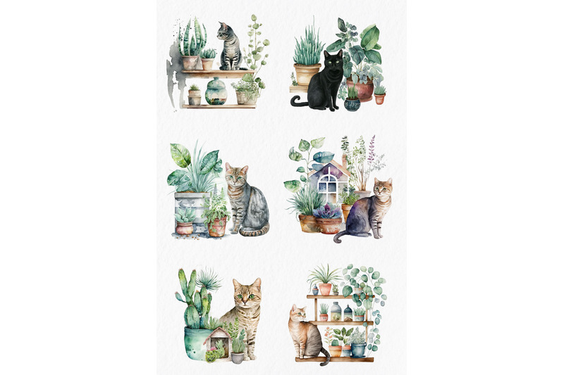 cats-and-house-plants-watercolor-clipart-png