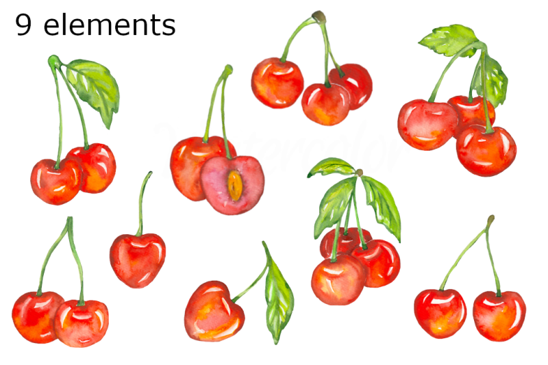 cherry-watercolor-clipart