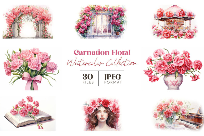 carnation-floral