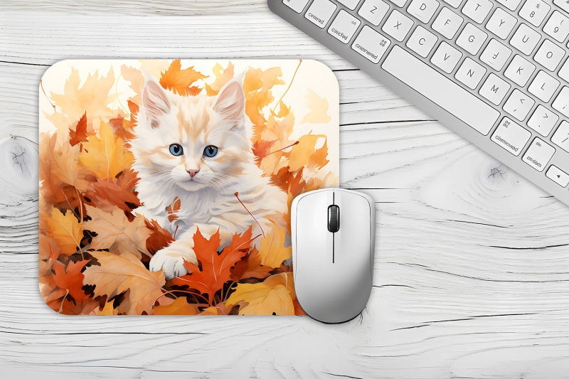 funny-cute-cat-mouse-pad-bundle