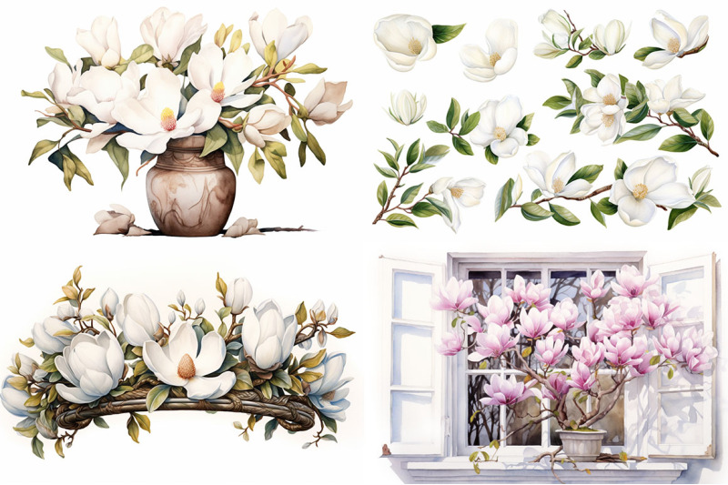 magnolia-floral