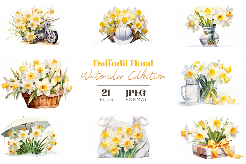 daffodil-floral