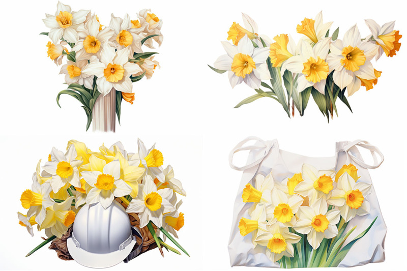 daffodil-floral