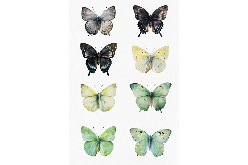 butterflies-watercolor-clipart-png