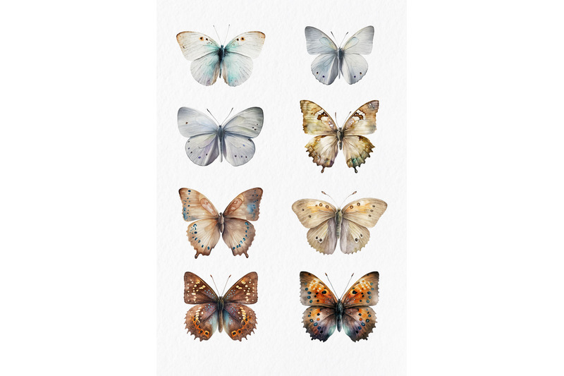 butterflies-watercolor-clipart-png