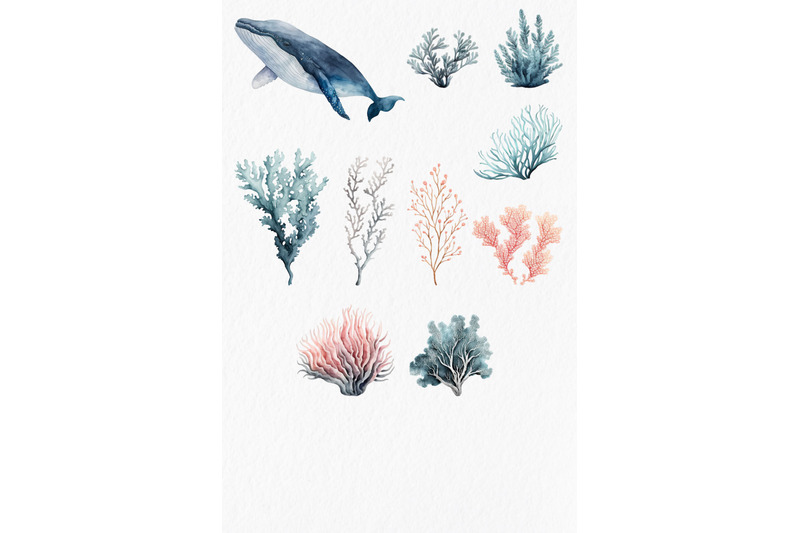 whales-watercolor-clipart-png