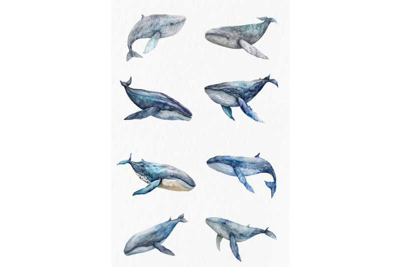 whales-watercolor-clipart-png