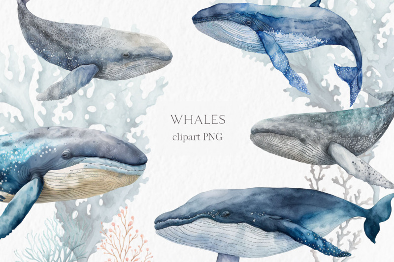 whales-watercolor-clipart-png