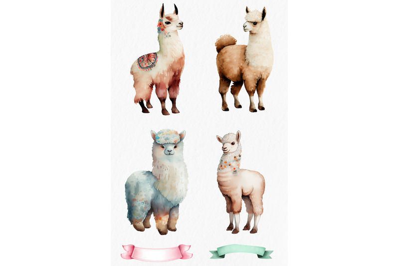 llamas-and-alpacas-watercolor-clipart-png