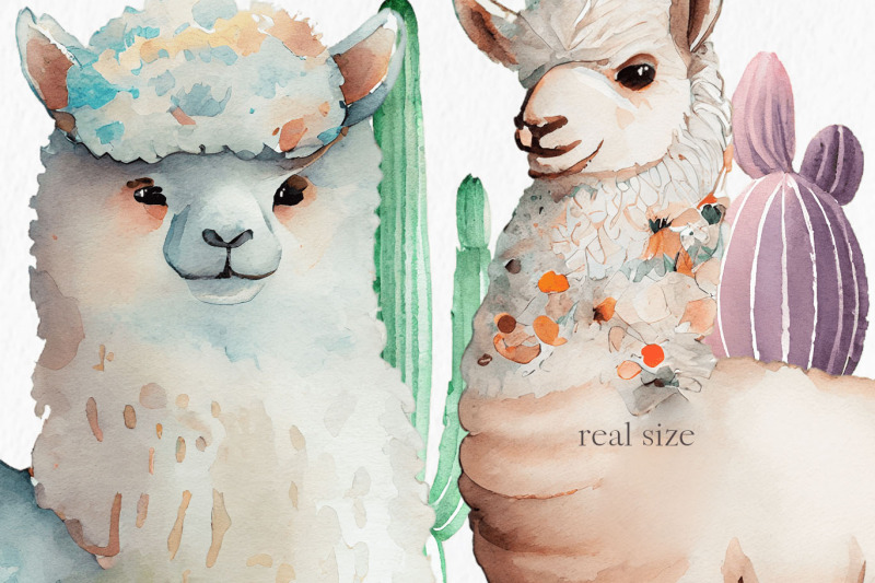 llamas-and-alpacas-watercolor-clipart-png