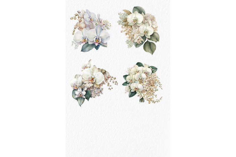 white-orchids-watercolor-clipart-png
