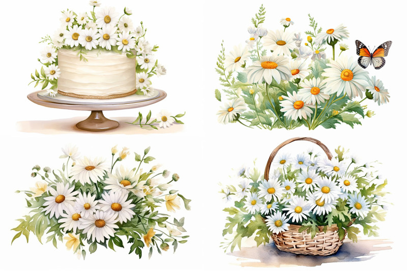 daisies-floral