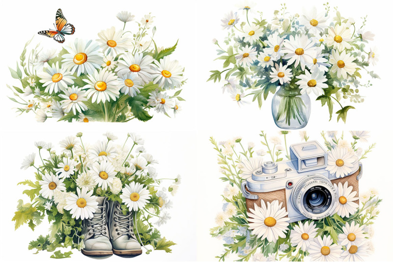 daisies-floral