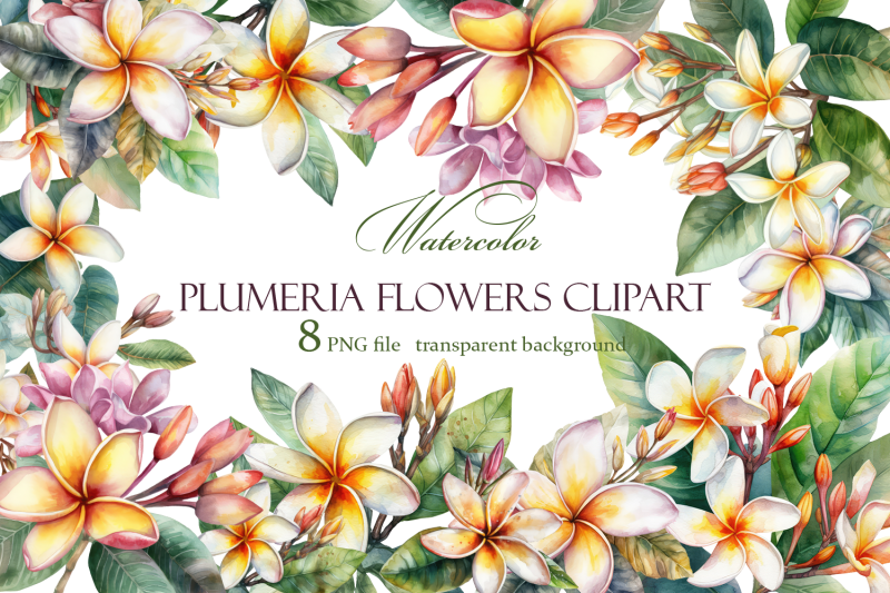 white-plumeria-flowers-watercolor-clipart