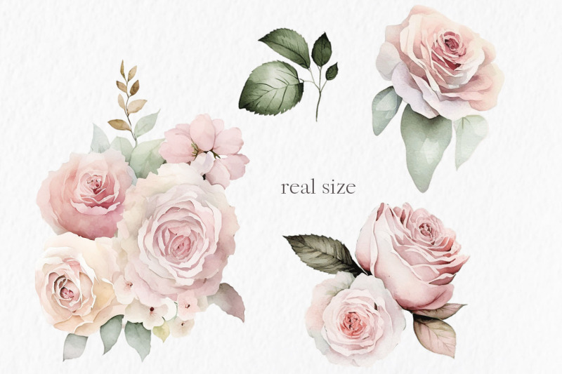 peach-and-pink-roses-watercolor-clipart-png