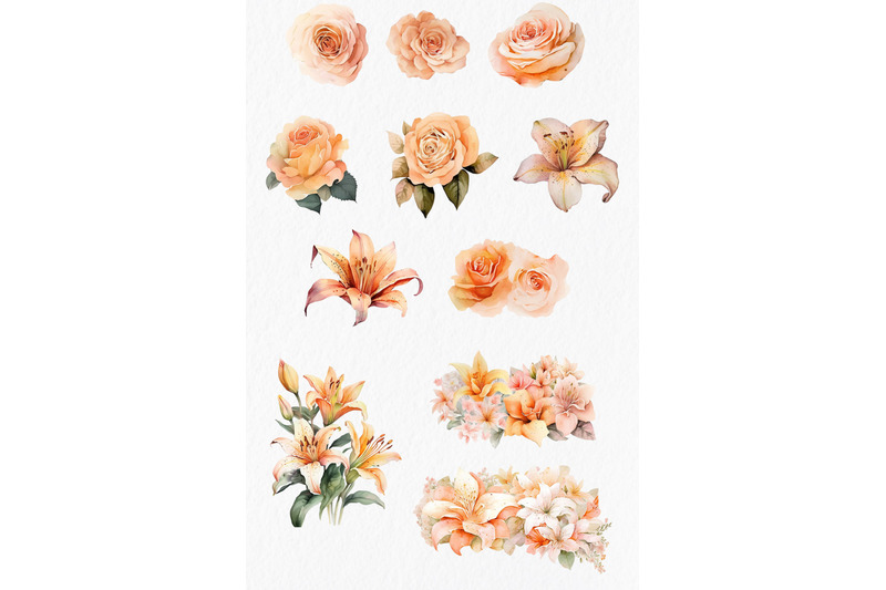 peach-roses-and-lilies-watercolor-clipart-png