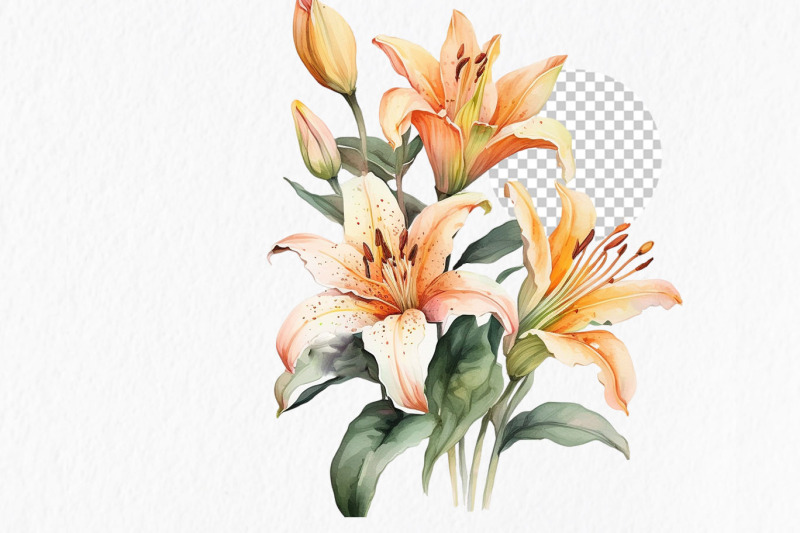 peach-roses-and-lilies-watercolor-clipart-png