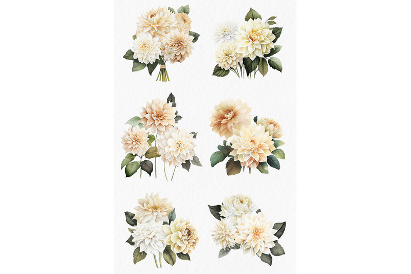 white-dahlia-flowers-watercolor-clipart-png
