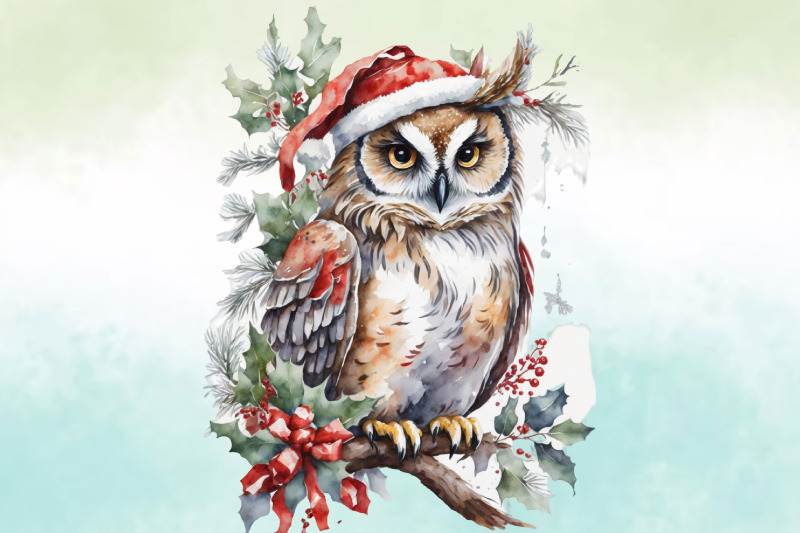 watercolour-christmas-owl-illustration