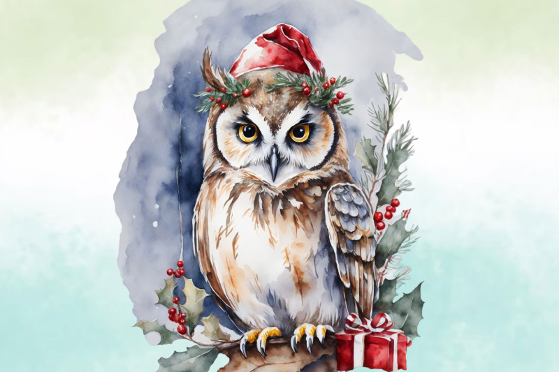 watercolour-christmas-owl-illustration