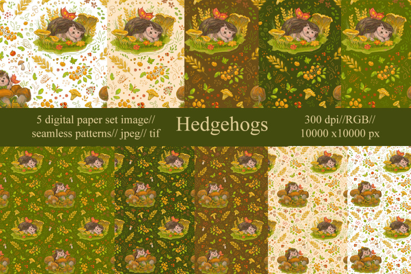 hedgehogs