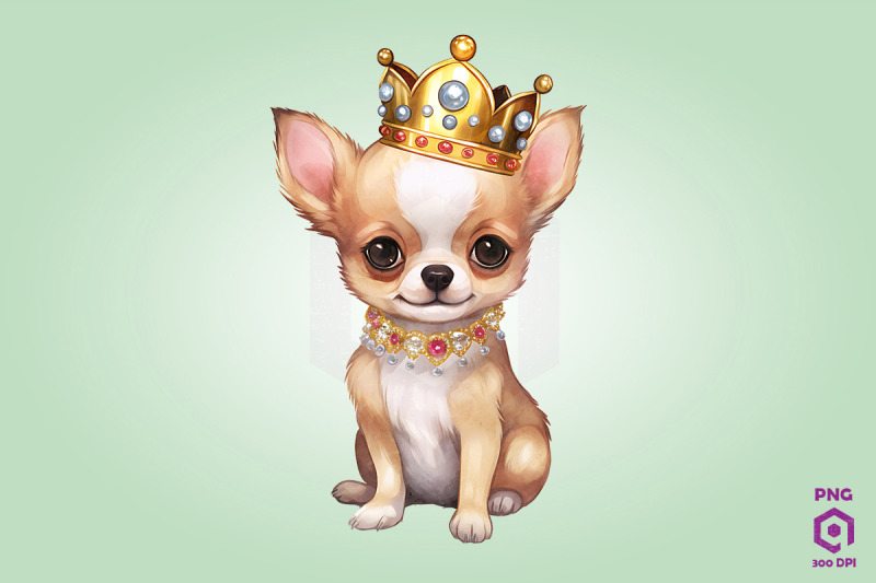 chihuahua-dog-wearing-crown