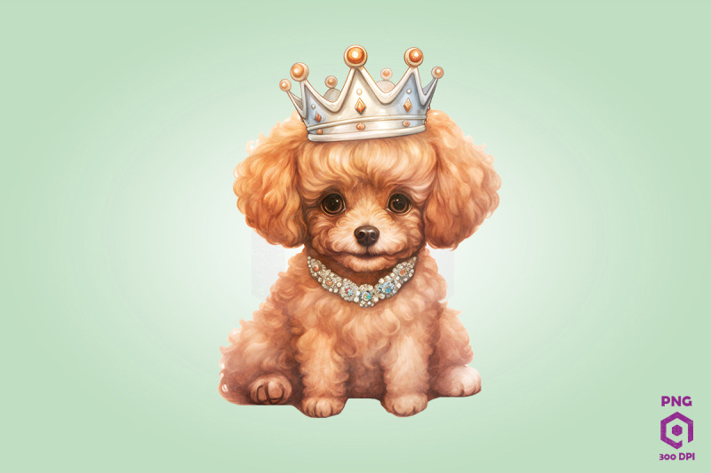 poodle-dog-wearing-crown